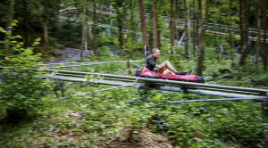 Snowdonia adrenaline activities day trip: Zip World Fforest Coaster Betws-y-Coed